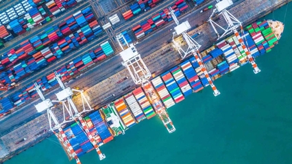 阳明船公司网站的提单号(世界各大国际海运船公司的提单格式都在这里)