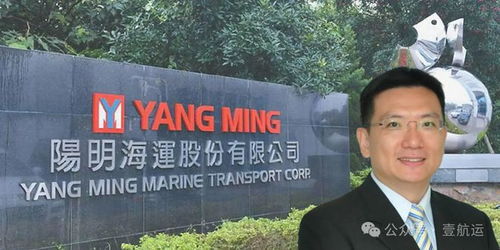阳明高层巨震 史上最年轻董事长上位,原总经理 下放 子公司