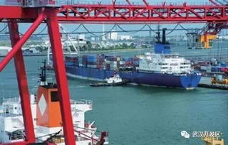 武汉开发区竟然有55家世界500强企业 近日签下52亿新项目