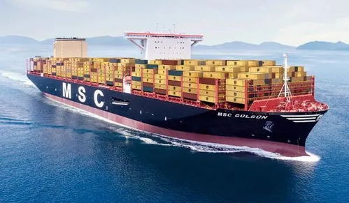 外贸人关注 msc 调整误报费至3500美元 柜,4月1日起