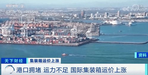 堵船 涨价 集装箱一舱难求 出口企业发货难